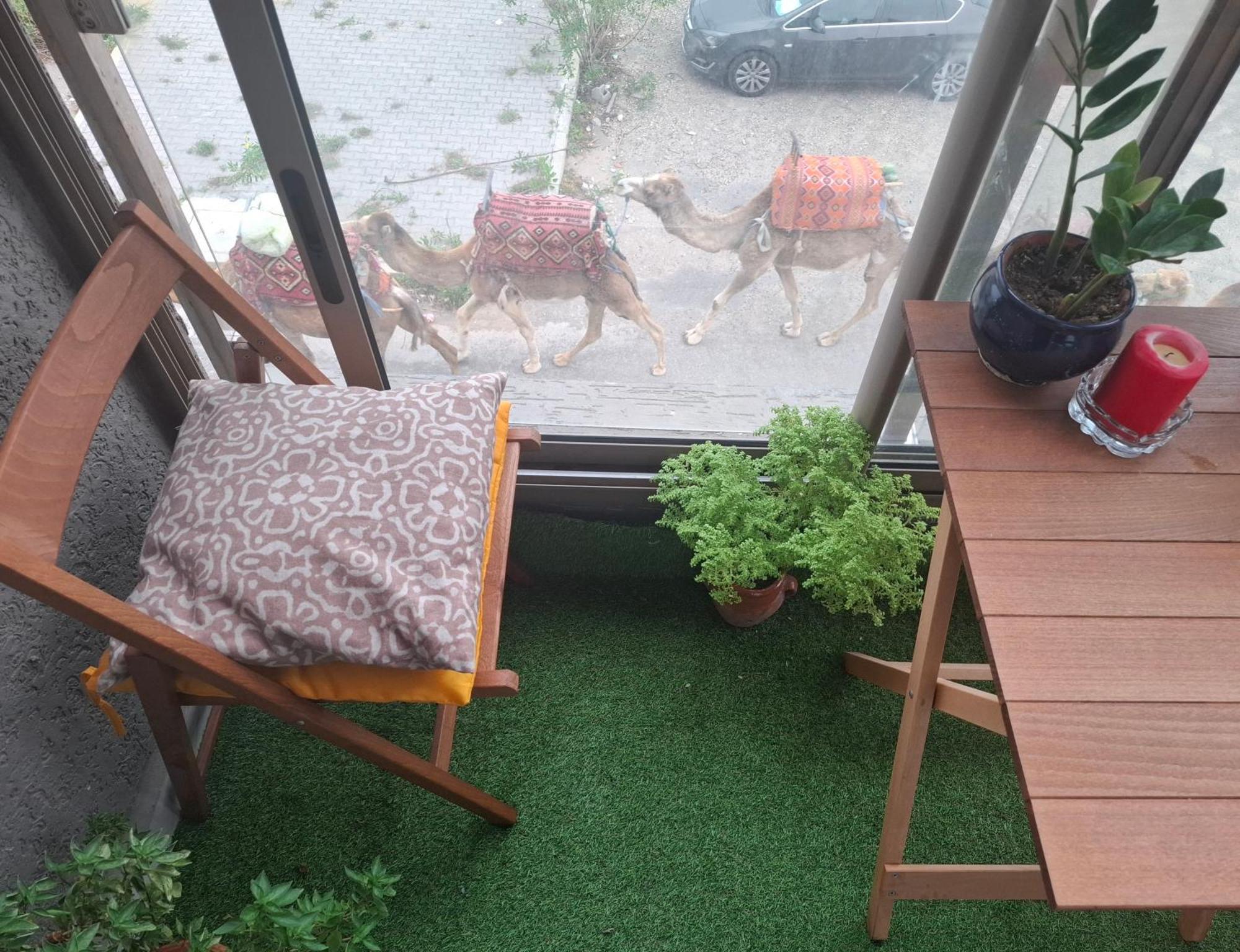 Azur Appartement Essaouira Eksteriør bilde